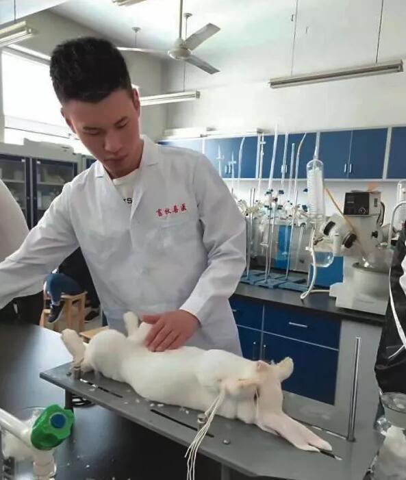 石家庄信息工程职业学院动物医学专业学生正在上实训课